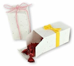bomboniere carta piantabile ecocard