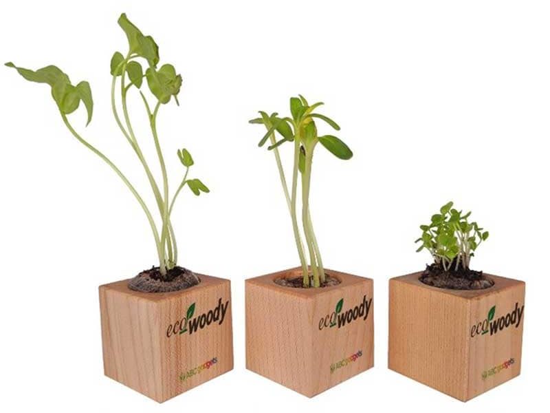 ecowoody bomboniera matrimonio ecologica