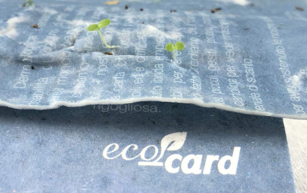 eco card è la carta ecologica biodegradabile con semi
