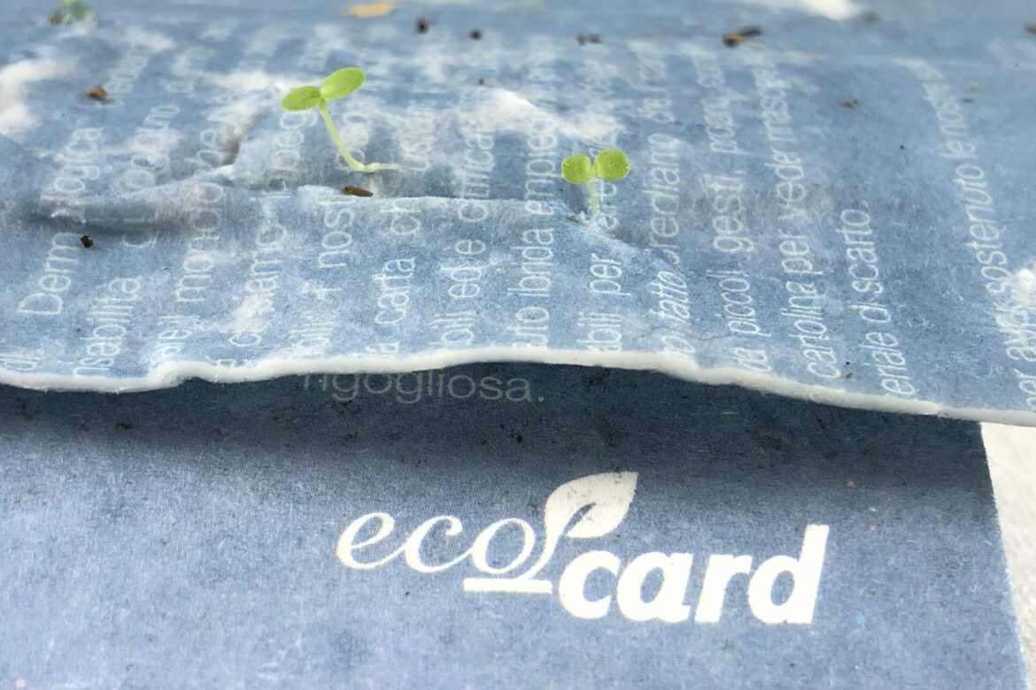 eco card è la carta ecologica biodegradabile con semi