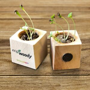 eco-woody calamita ecologica da frigo personalizzabile con piantine che germogliano
