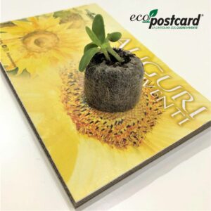 eco-postcard-gadget-personalizzato-ecologico