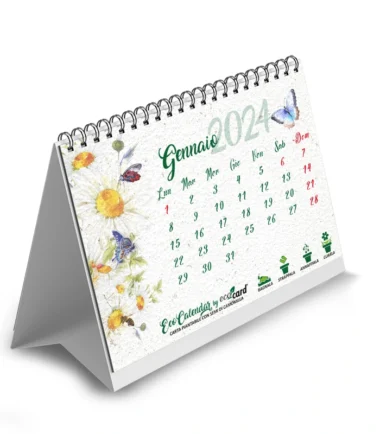 Calendario Piantabile 2024 | GENNAIO: Camomilla