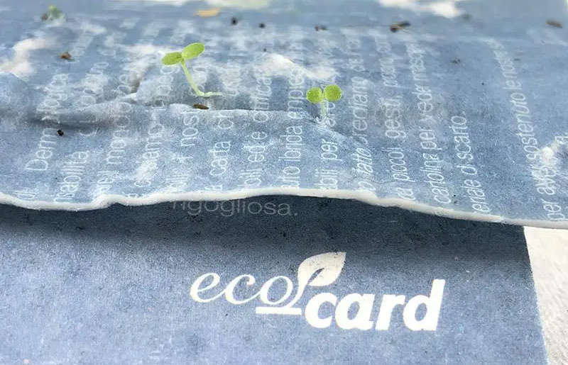 eco-card-germogliata