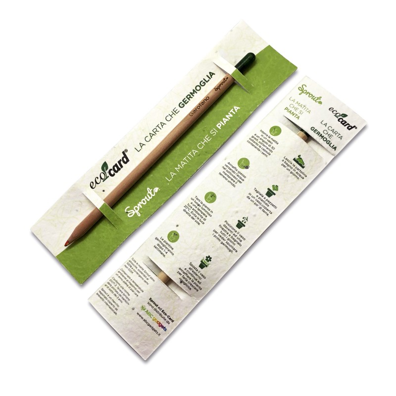 Box 3 matite ecologiche piantabili - Sprout
