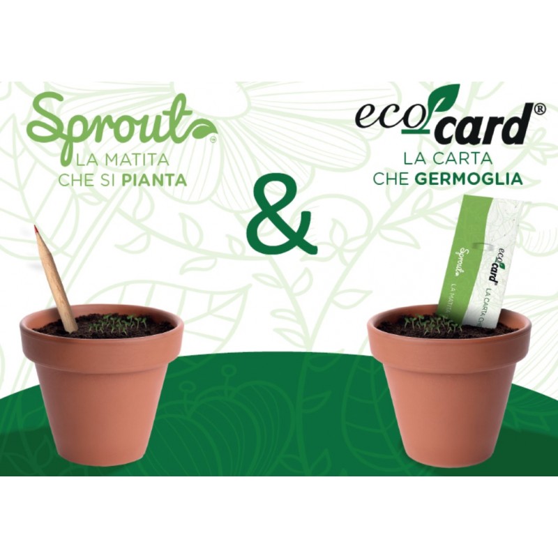 Matita con semi Sprout®️ personalizzabile » ABC Gadgets