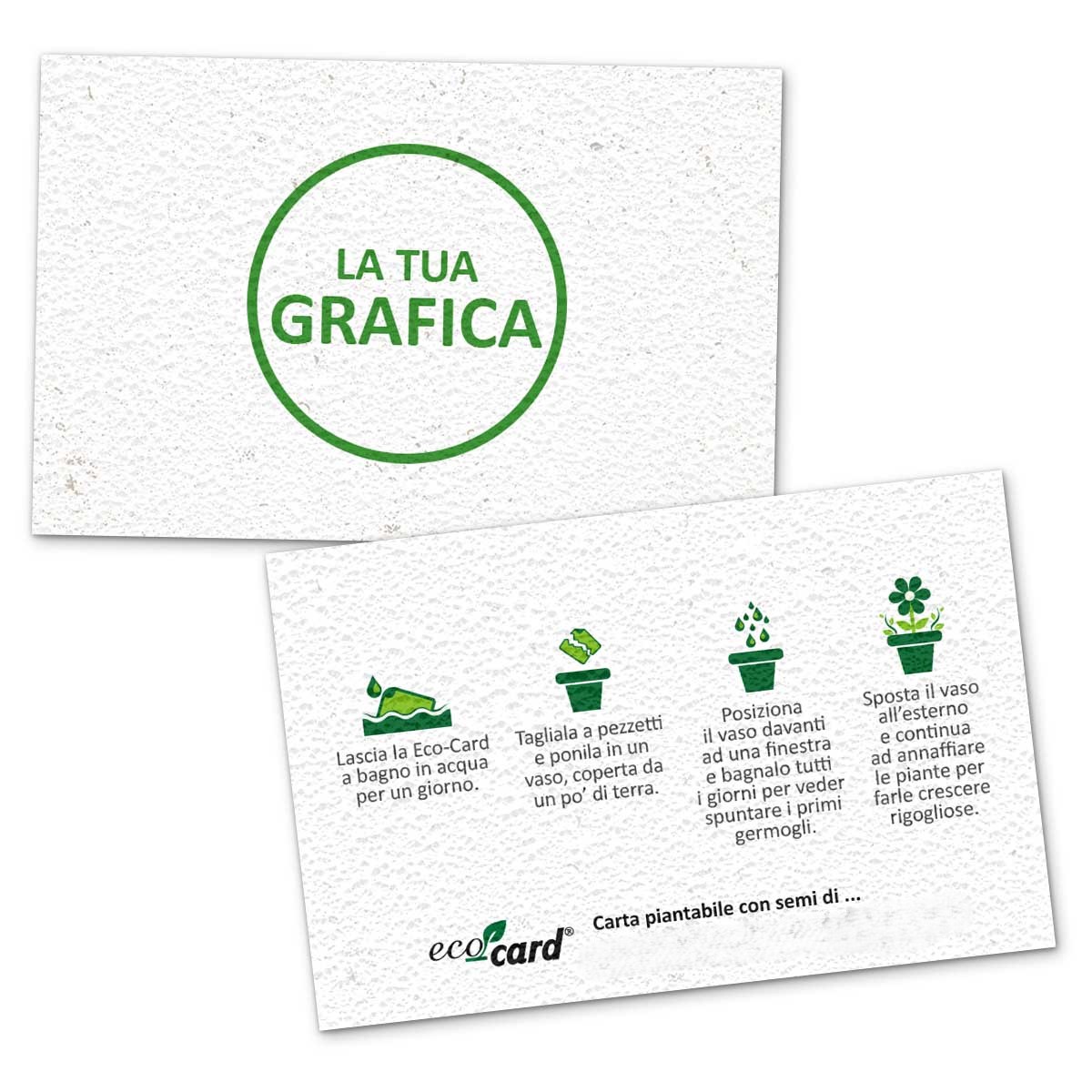 web mkp-bdv-Eco-C_TUA GRAFICA