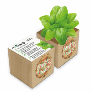 Mockup-Bella-Napoli-Ecowoody