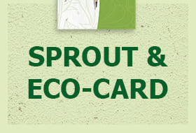 matita-sprout-carta-piantabile-ecocard