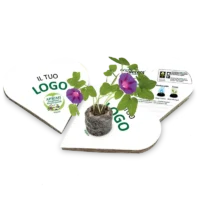 Mockup-EcoD_Cuori_IL-TUO-LOGO_800