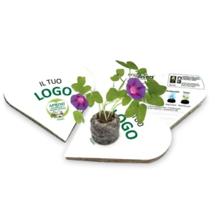 Mockup-EcoD_Cuori_IL-TUO-LOGO_800