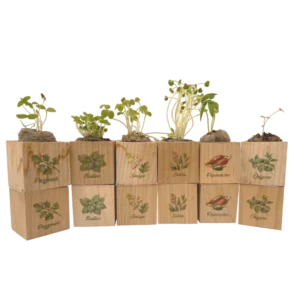 esclusive eco-woody - aromatiche