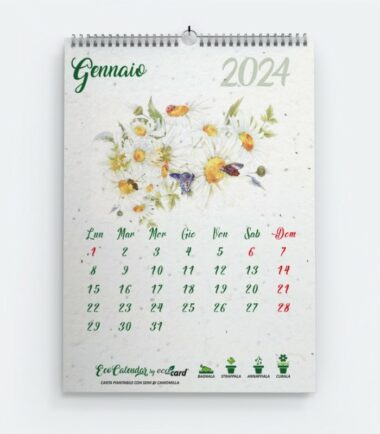 Calendario piantabile da muro 2024 | GENNAIO: Camomilla