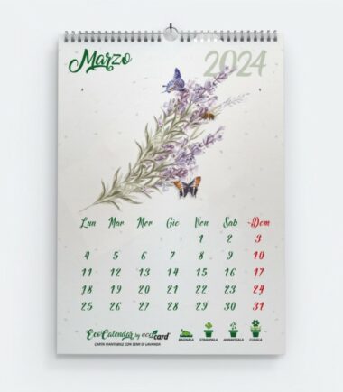 Calendario piantabile da muro 2024 | MARZO: Lavanda