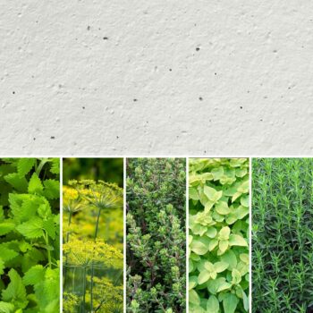 prod_CN_semi Aromatiche 25 prod_CN_semi Aromatiche 25