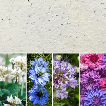 prod_CN_semi MELLIFERI prod_CN_semi MELLIFERI