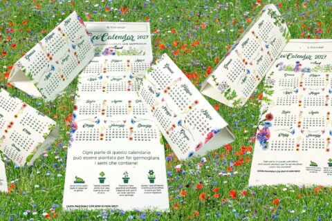 Calendario piantabile ecologico da tavolo e da parete